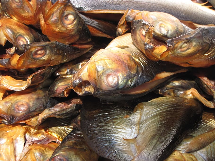 fish, herring, smoked, animal, fresh, food, seafood, mackerel, HD wallpaper