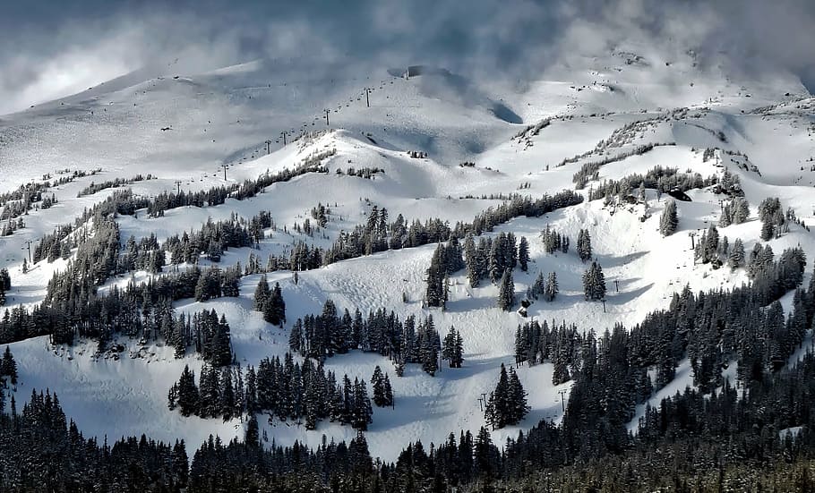 mountain covered by snow, mt hood, oregon, meadows, winter, forest