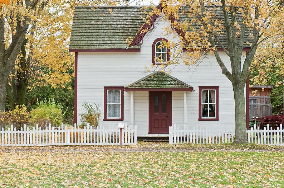 white and brown wooden storey house near yellow leaf tree at daytime, HD wallpaper