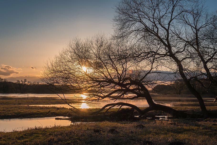 elbe, high water, evening, river, current, nature, mood, sunset HD wallpaper