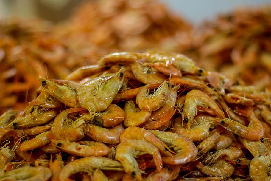 shrimp, mar, beach, food and drink, freshness, healthy eating HD wallpaper