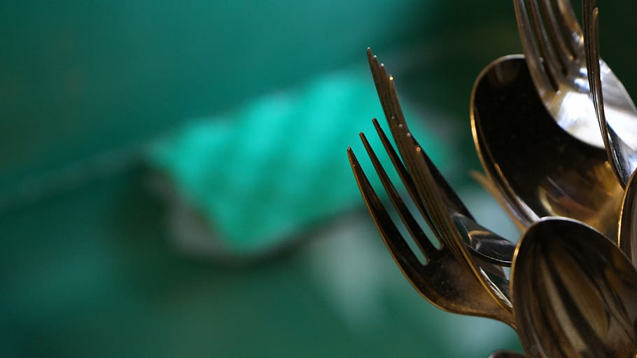 forks, silverware, sponge, kitchen utensil, indoors, household equipment HD wallpaper