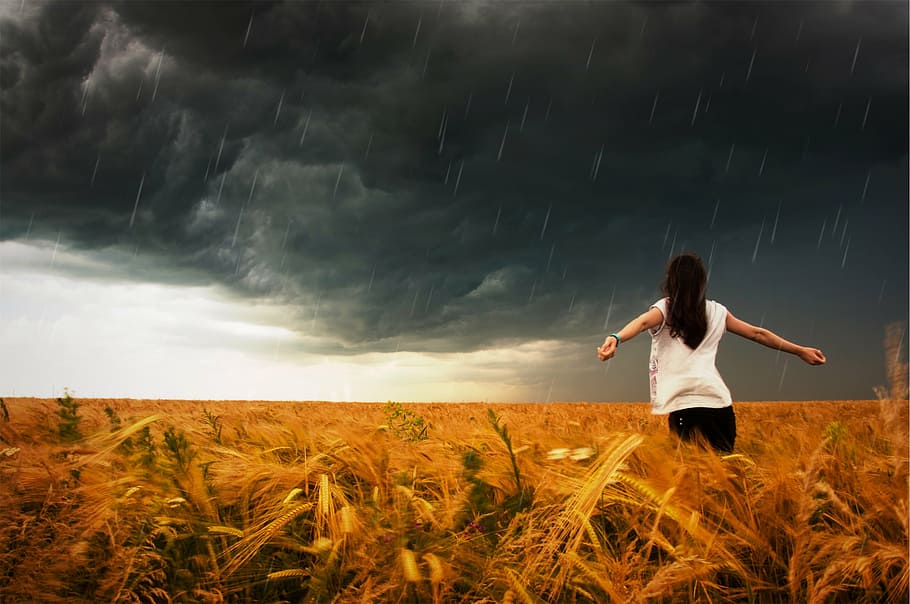 woman at wheat field, white, shirt, storm, raining, drops, cloudy, HD wallpaper