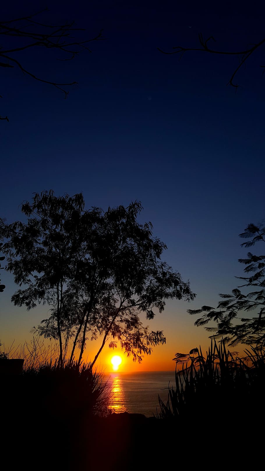 Dawn, Oaxaca, Mazunte, silhouette, tree, sunset, nature, scenics HD wallpaper