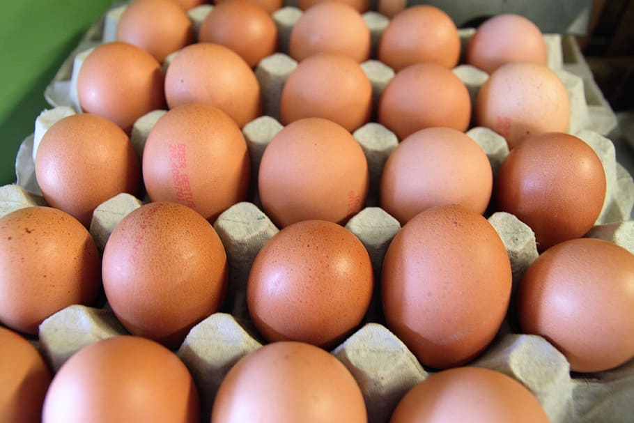 eggs, shop, dairy, large group of objects, food, food and drink HD wallpaper