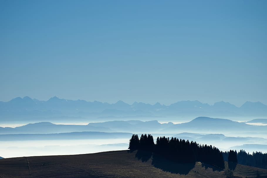 trees under blue sky, silhouette of pine trees on top of mountain during daytime HD wallpaper