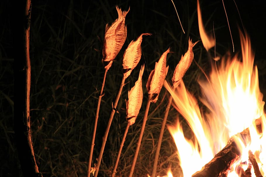 fire, fish, spit, light, cooking fish, bbq, burning, fire - natural phenomenon HD wallpaper
