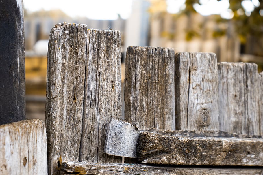wood, door, input, nature, spring, old, goal, door opening HD wallpaper