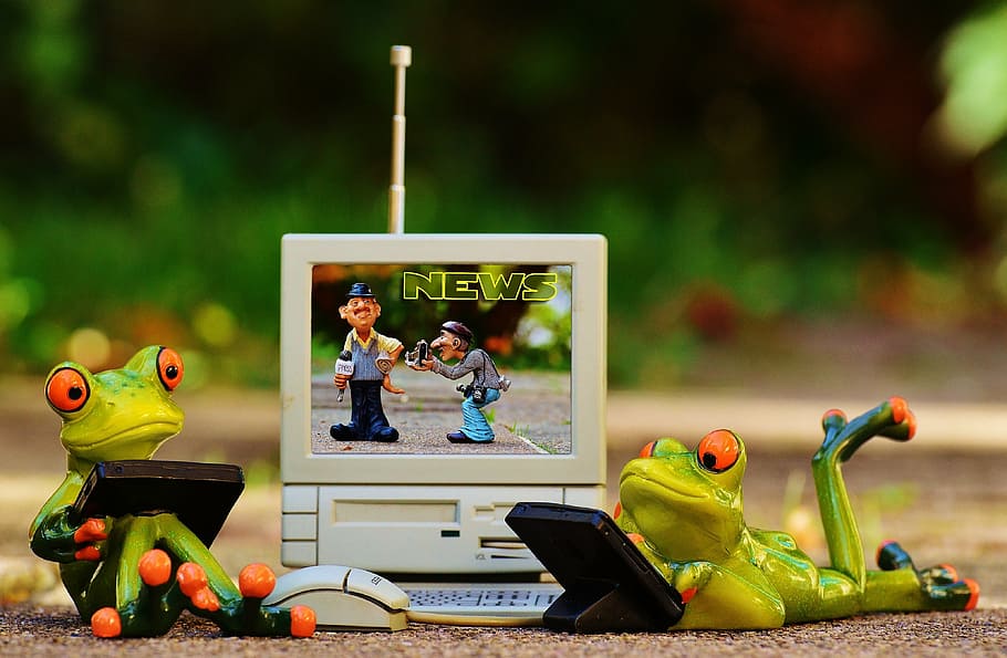 frogs figurine, computer, news, laptop, funny, cute, figure HD wallpaper
