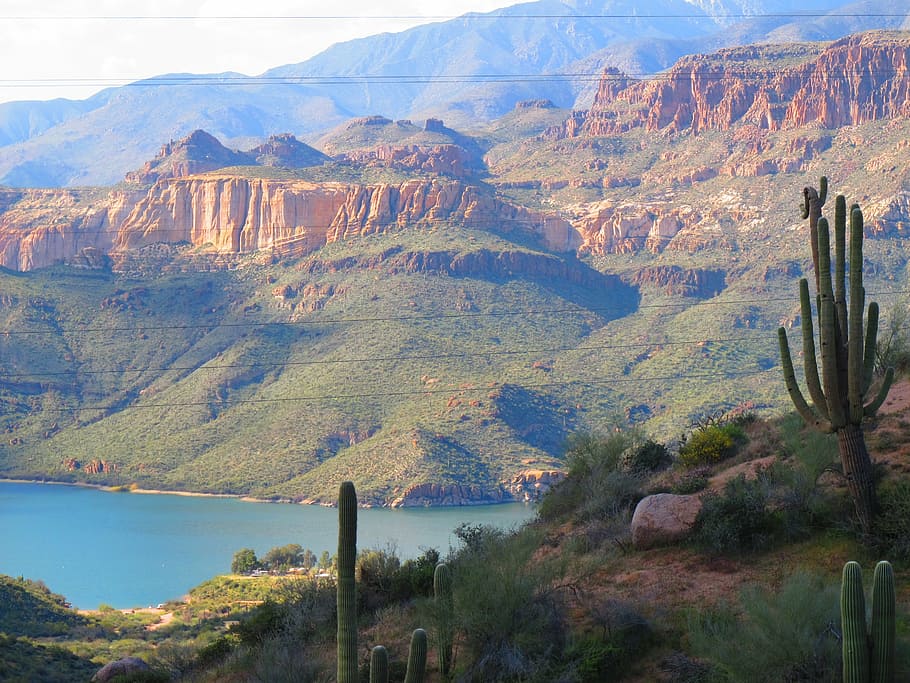 brown cactus on mountain, arizona, apache trail, phoenix, scenics - nature HD wallpaper