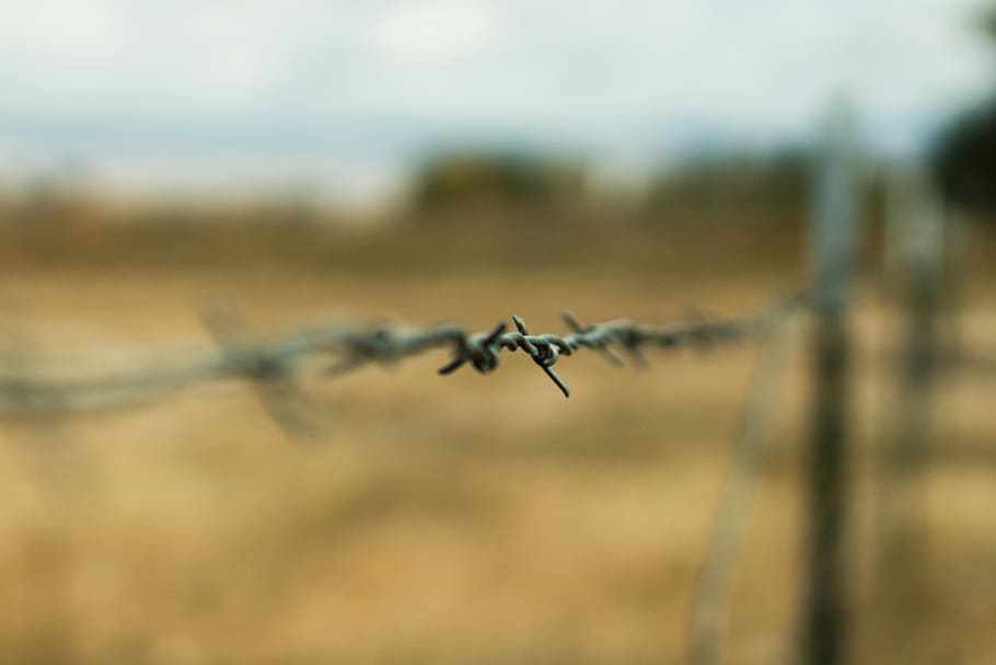 selective focus photography of barbed wire, fence, sharp, point, HD wallpaper