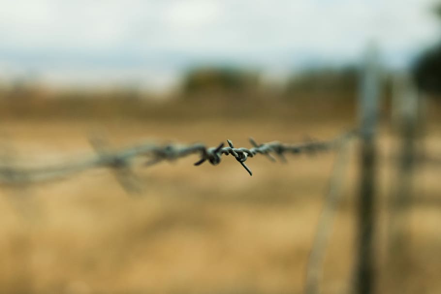 selective focus photography of barbed wire, fence, sharp, point HD wallpaper