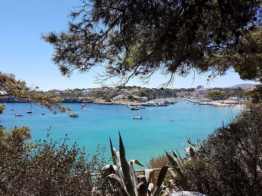 beach, spain, summer, water, sea, island, plant, tree, nautical vessel HD wallpaper