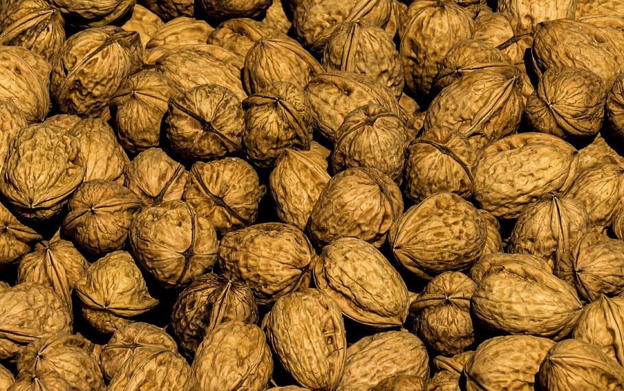 nuts, walnut, shell, decoration, harvest, market, buy, sell HD wallpaper