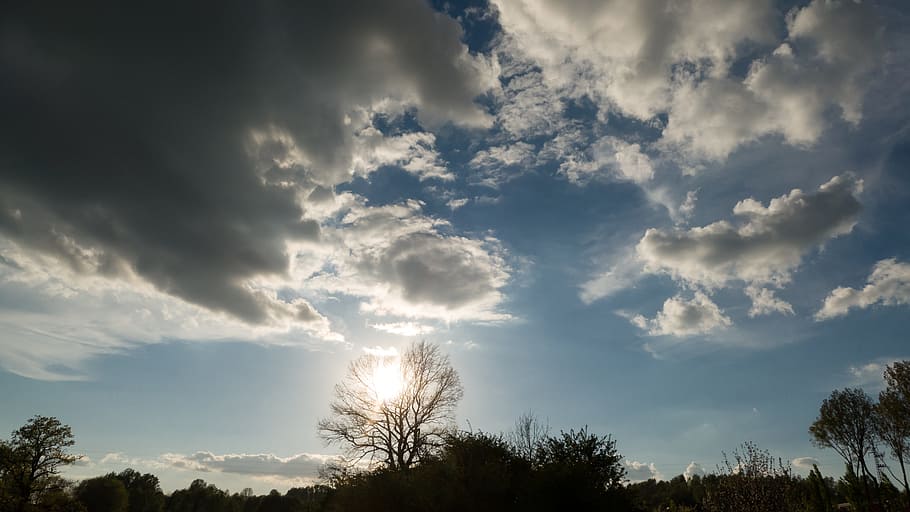 clouds, white, sky, blue, the sun, day, landscape, tree, glomerulus HD wallpaper