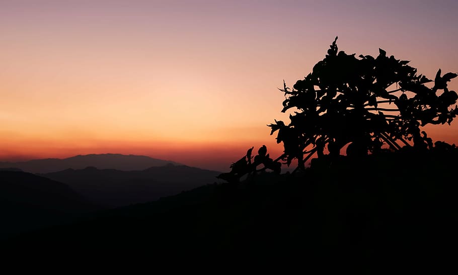 landscape, sunset, silhouette, tree, horizon, dawn, nature HD wallpaper