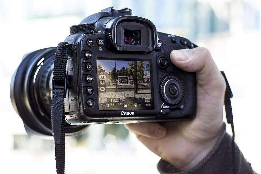 person holding black Canon DSLR camera, photography, equipment, HD wallpaper