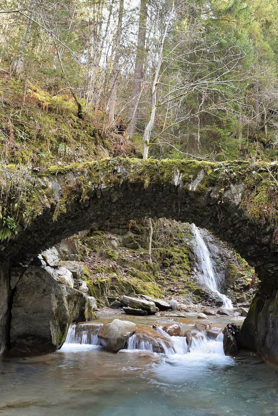 Bridge, Nature, Passage, River, Park, landscape, water, forest HD wallpaper