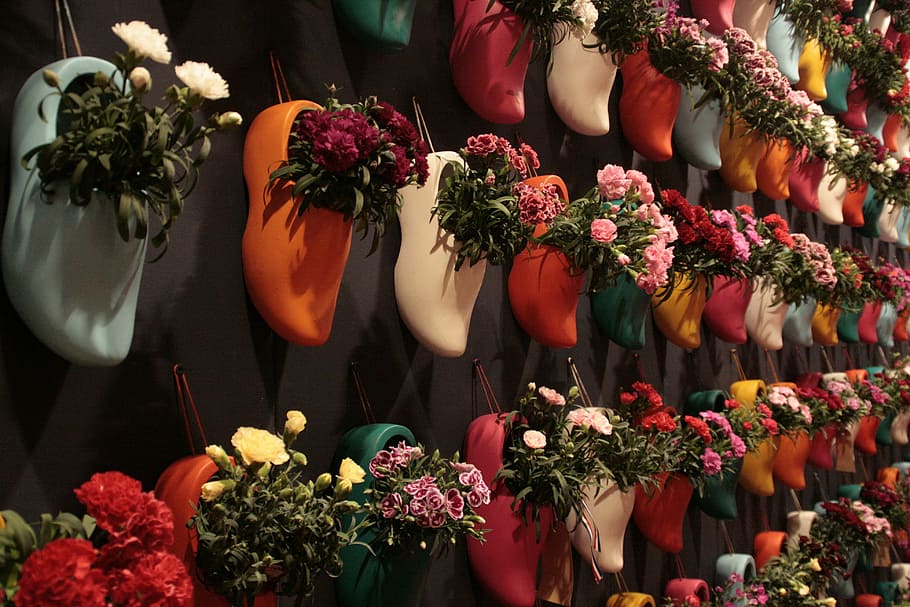 Clogs, Flowers, Netherlands, horticulture, bouquet, decoration HD wallpaper