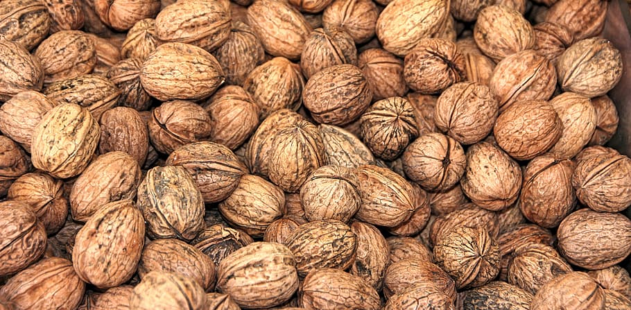 nut, food, refreshment, nutshell, healthy, walnut, bless you HD wallpaper