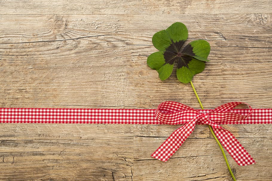 green charm plant wall decor, klee, lucky clover, leaf, vierblättrig HD wallpaper