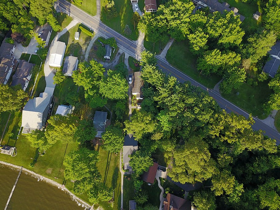 drone, zone, down, tree, plant, green color, high angle view HD wallpaper
