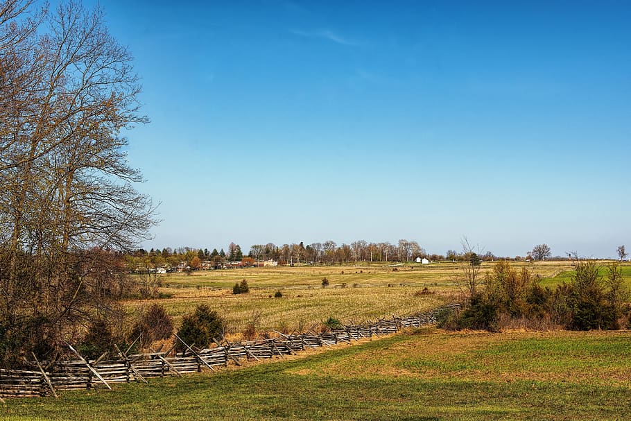 nature, tree, landscape, grass, sky, gettysburg, pennsylvania, HD wallpaper