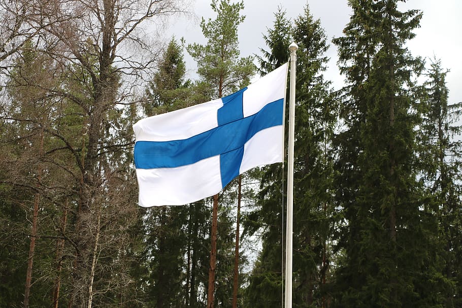 tree, flag, nature, outdoors, finnish, flag of finland, plant, HD wallpaper