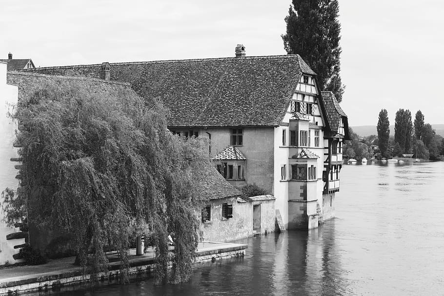 human, waters, river, rhine, built structure, architecture HD wallpaper