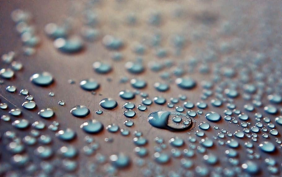 drops, surface, water, liquid, nature, macro, droplet, wet HD wallpaper