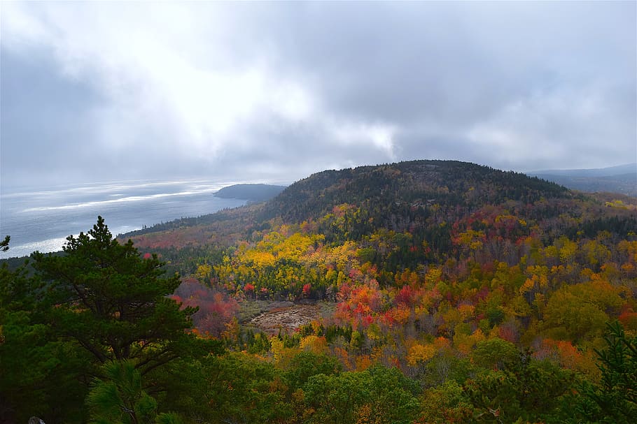mountain, trees, nature, landscape, coast, sky, clouds, outdoor HD wallpaper