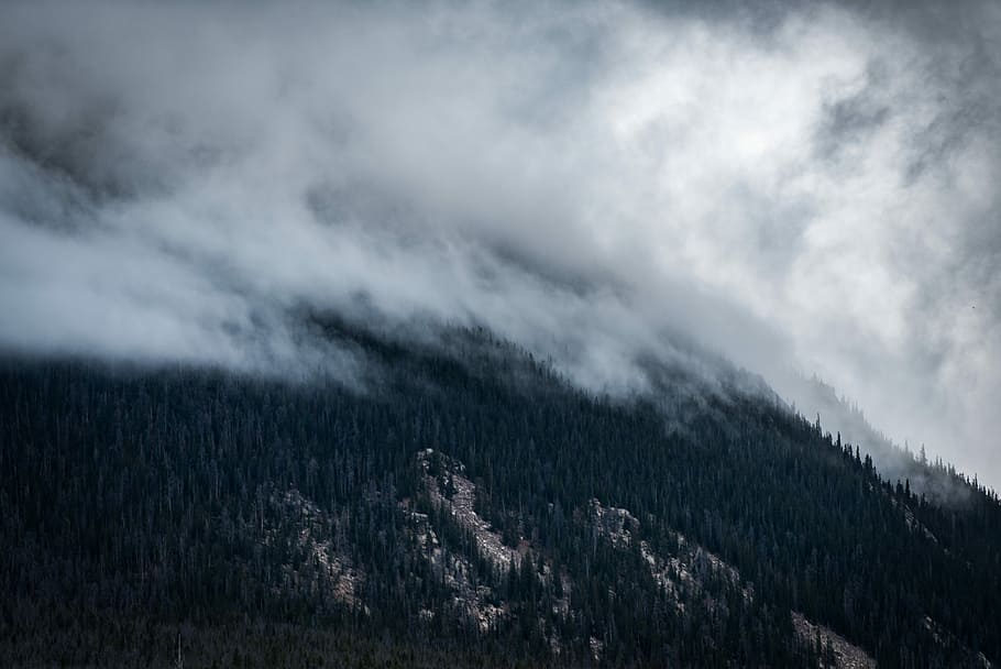 landscape photography of smoky mountain, bird's eye view of trees covered with fogs HD wallpaper