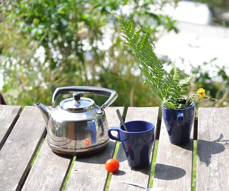 Breakfast, Camping, Teapot, Nature, picnic, day, food and drink HD wallpaper