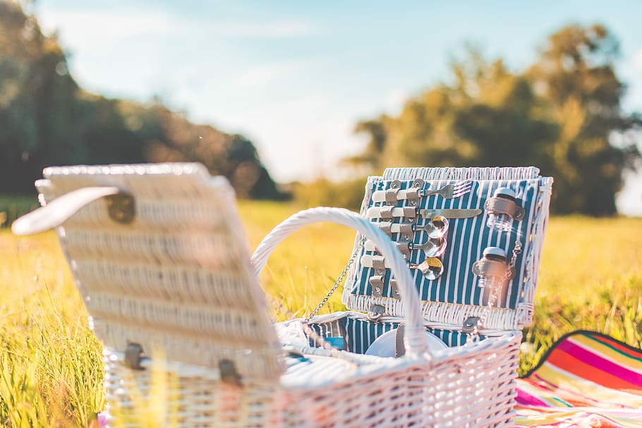 White Picnic Basket with Service on a Meadow, chilling, cute, HD wallpaper