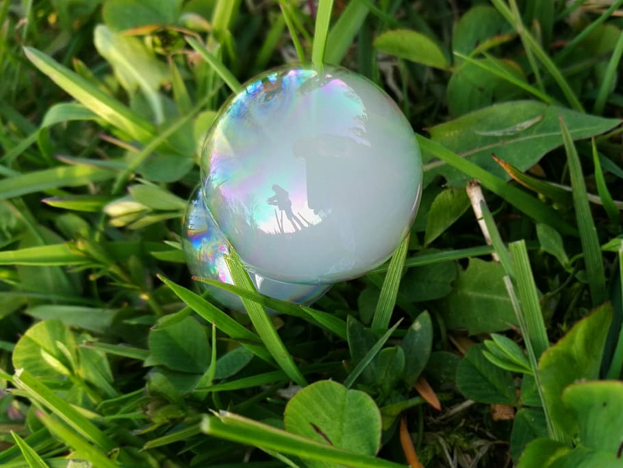 soap bubbles, reflection, white, spring, macro, nature, egg HD wallpaper