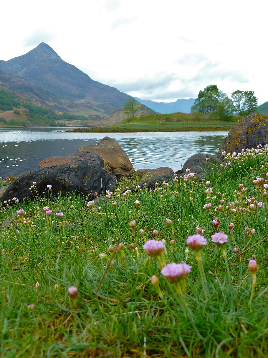 glencoe, scotland, highlands, glen coe, nature, isolation, cloudy, HD wallpaper