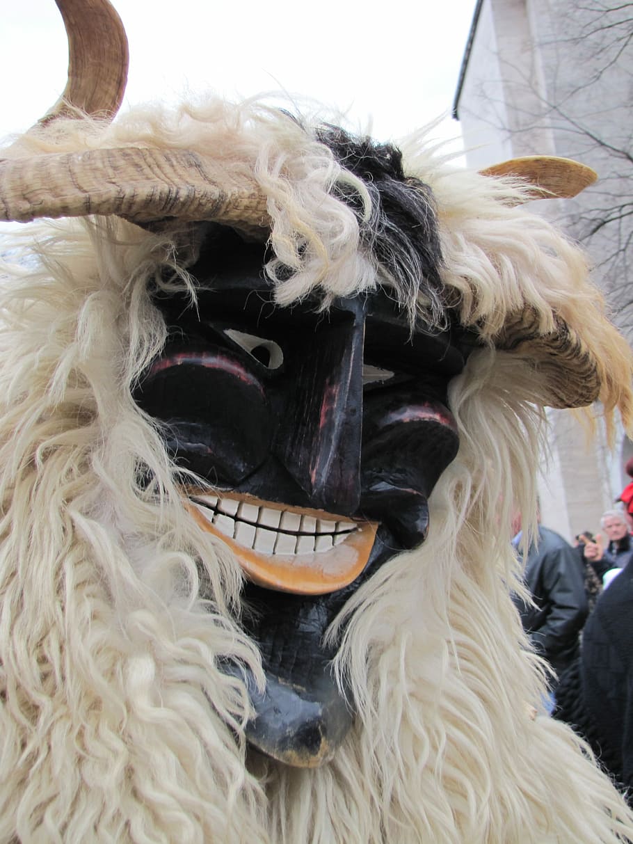 Busó, Costume, Carnival, human body part, dog, indoors, focus on foreground HD wallpaper
