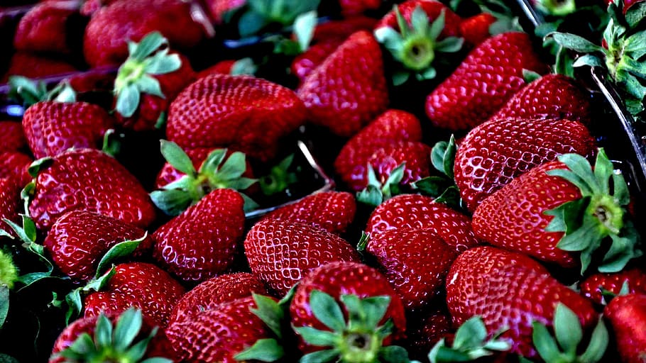 strawberries photo, strawberry, red, macro, berry fruit, healthy eating HD wallpaper