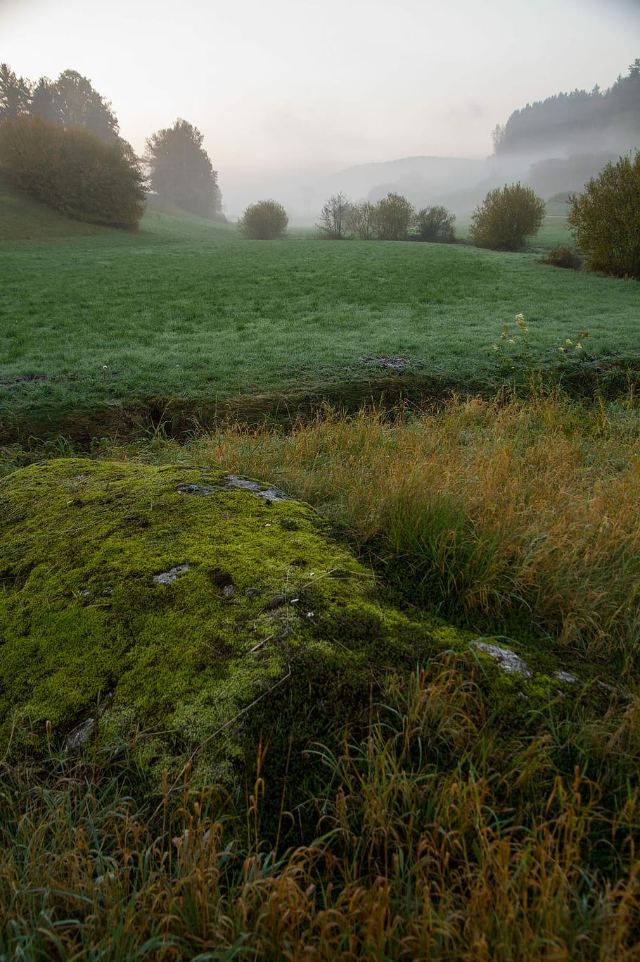 Meadow, Mist, Stone, Moss, Weave, Forest, meadow mist, rock HD wallpaper