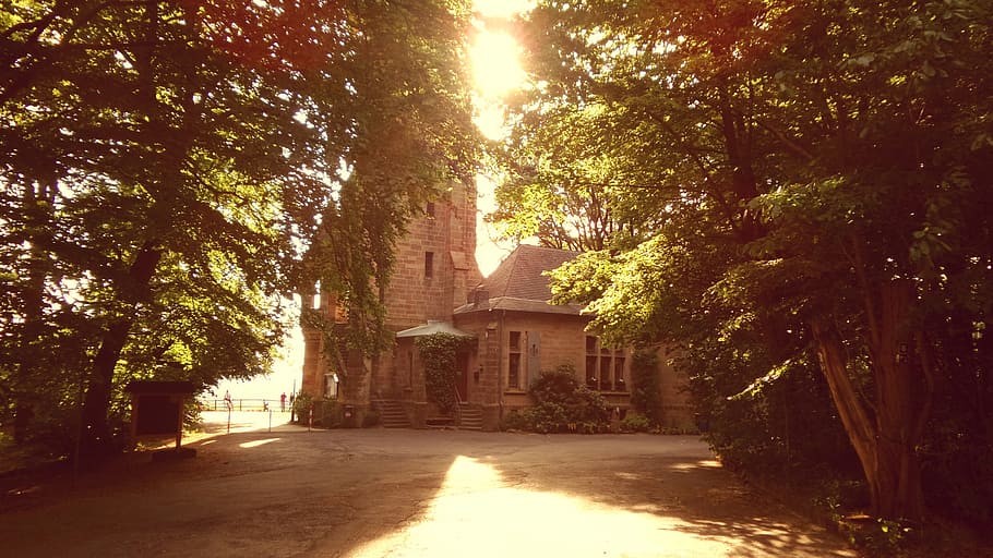 tower, forest, castle, middle ages, building, historically HD wallpaper