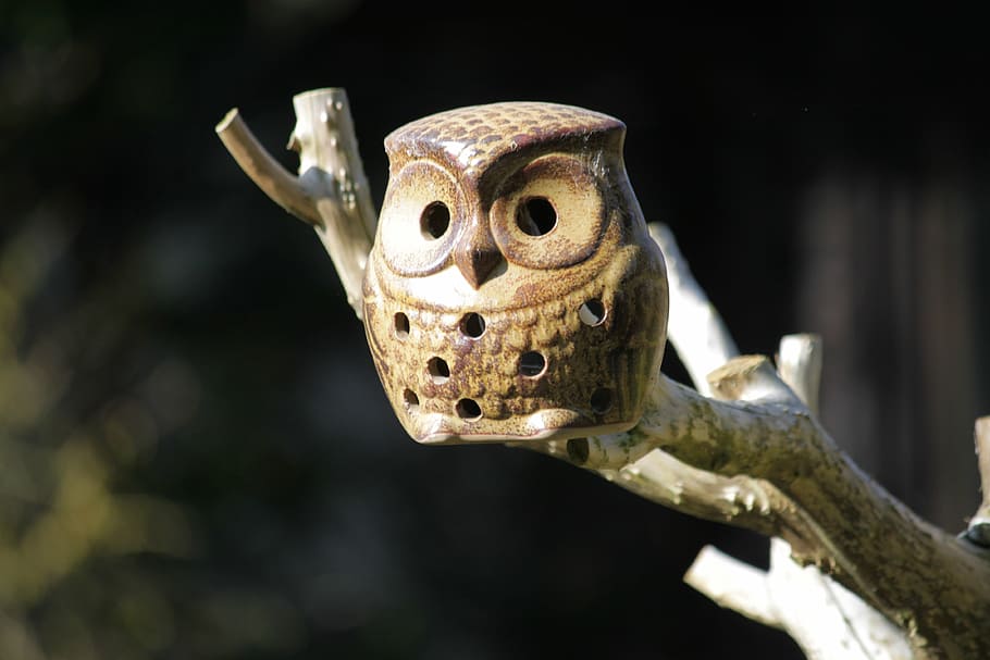 owl, ceramic owl, nesting box, bird, birds, animal, eyes, potters HD wallpaper