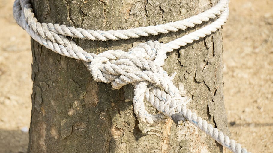 enclosed, wound, tether, redemption, images, rope, tied Knot HD wallpaper