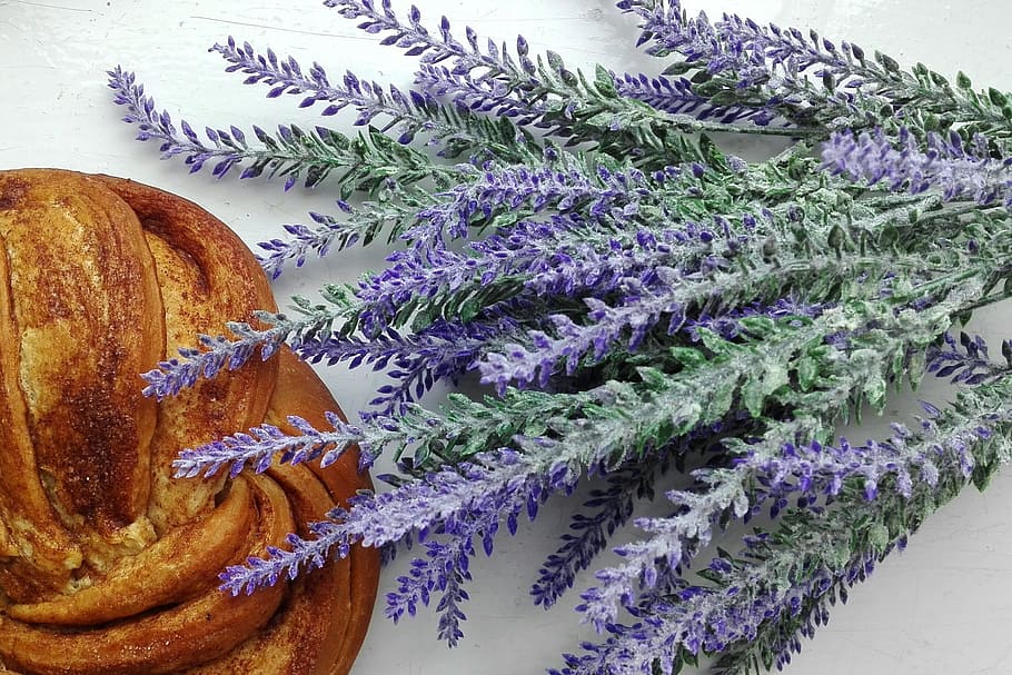 lavender, buns, food, baking, purple, still life, freshness HD wallpaper