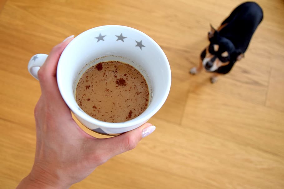coffee, dog, caffeine, food and drink, refreshment, human hand HD wallpaper