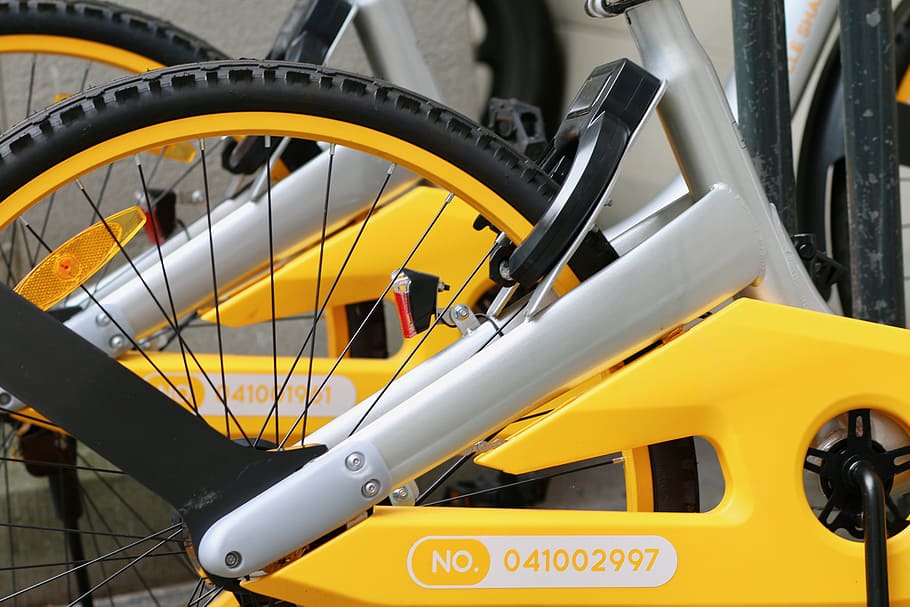 Bicycle rear wheel chain sales guard