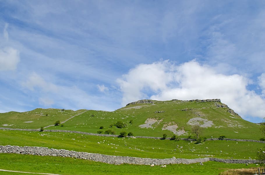 landscape, fences, spring, summer, england, meadow, north, yorkshire HD wallpaper