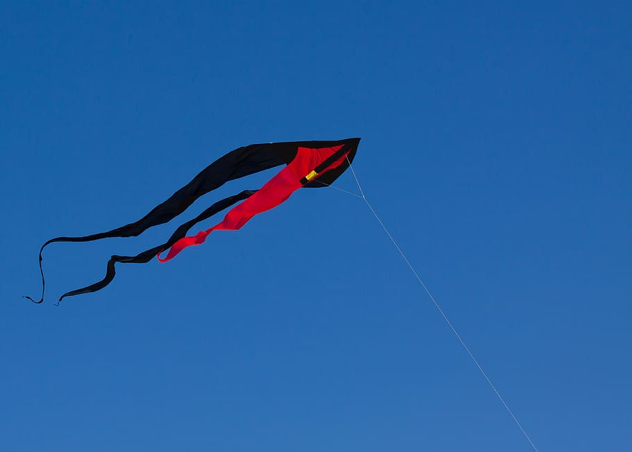 sky, dragons, wind, sun, blue, fly, dragon rising, steering dragon HD wallpaper