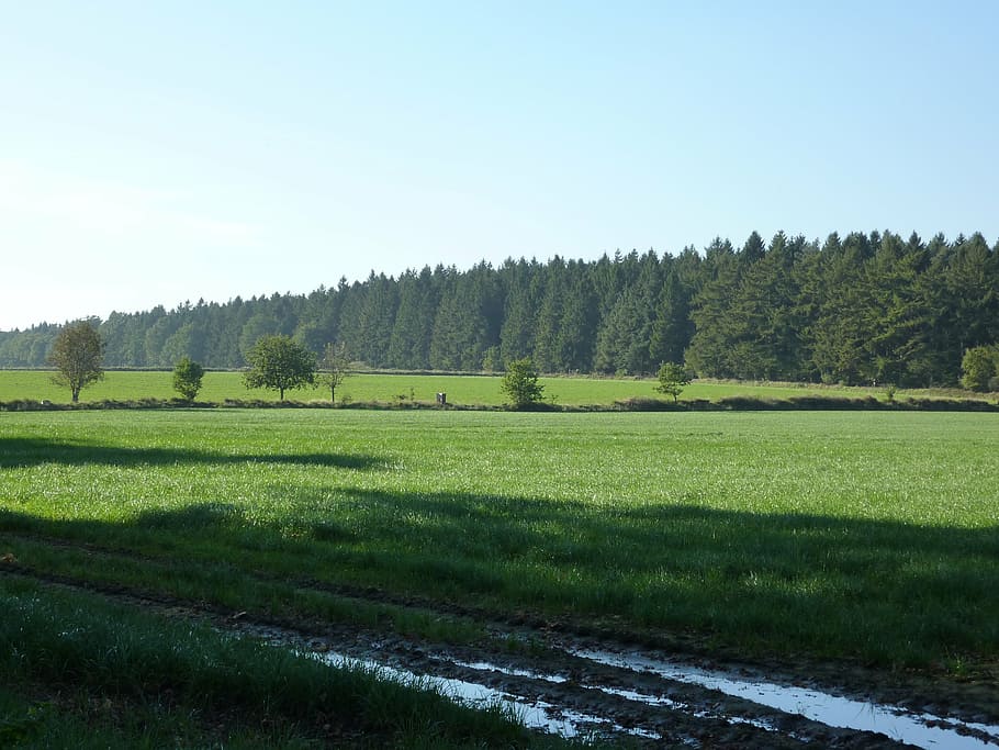 dithmarschen, landscape, meadow, lichtspiel, light, shadow HD wallpaper