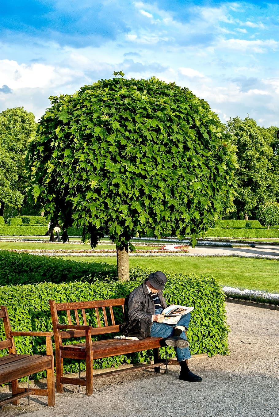 munich, courtyard garden, evening light, reader, tree, city HD wallpaper