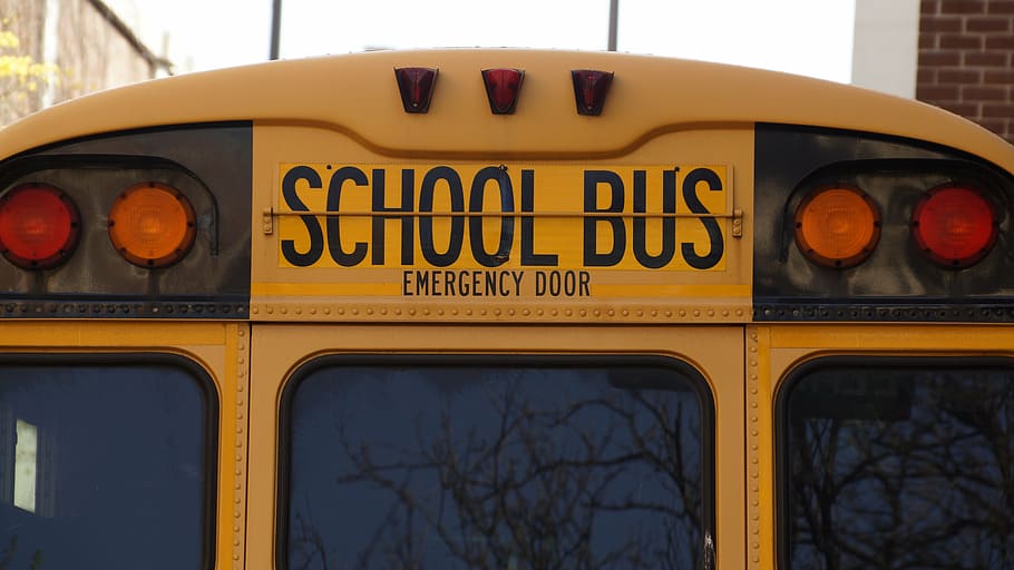 photo of School Bus, yellow, transportation, education, vehicle, HD wallpaper